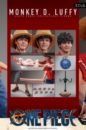 Hot Toys - One Piece: Monkey D. Luffy and Roronoa Zoro | 1/6 Action Figure